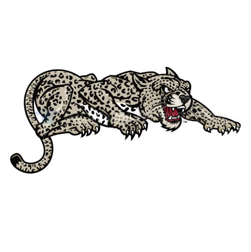 Lafayette Leopards Logo T-shirts Iron On Transfers N4765